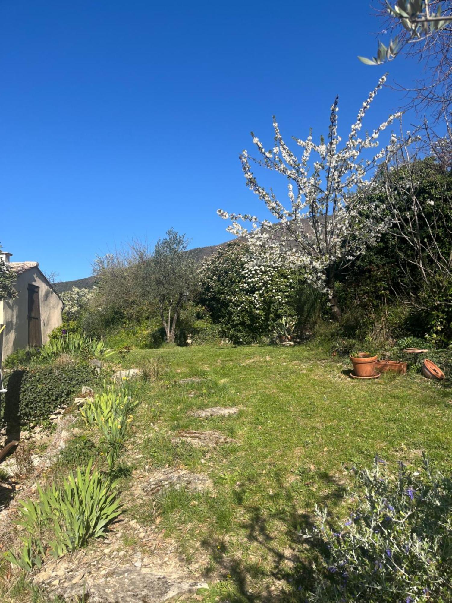 فيلا Cabanon Entoure De Montagnes Et D'Oliviers نييون المظهر الخارجي الصورة