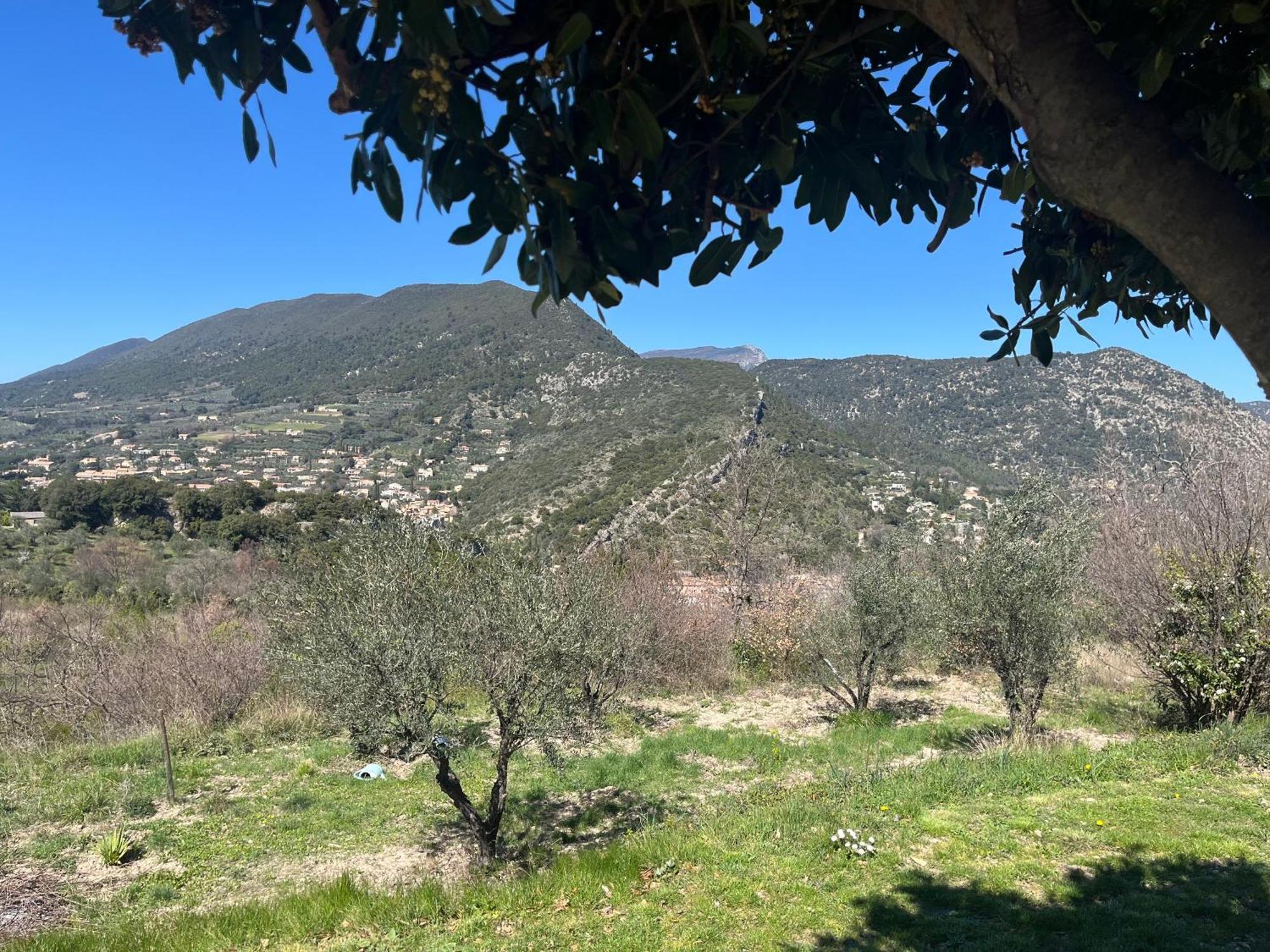 فيلا Cabanon Entoure De Montagnes Et D'Oliviers نييون المظهر الخارجي الصورة